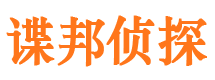 洛龙调查事务所